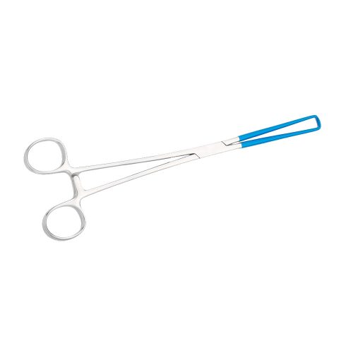 038070-LLetzTenaculum