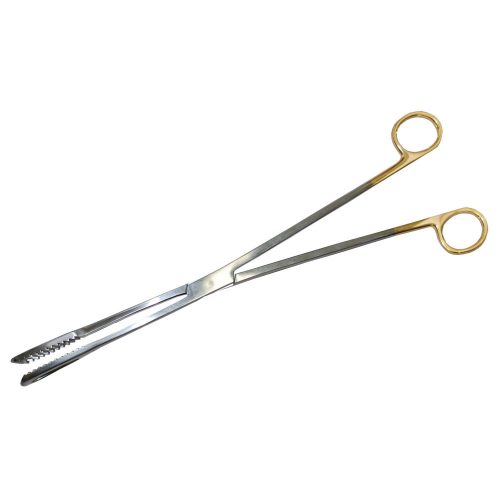 031141-Blumenthal-copy