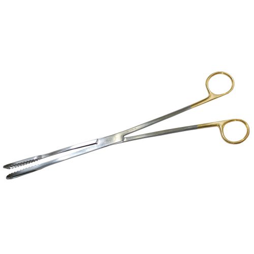 031142-Jacobson-copy