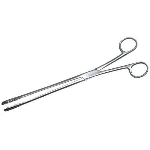 031156-031157-Boston-copy